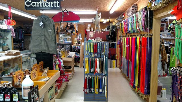 Spud Deb s Dog Hunting Supplies Pisgah Forest NC 28768 677