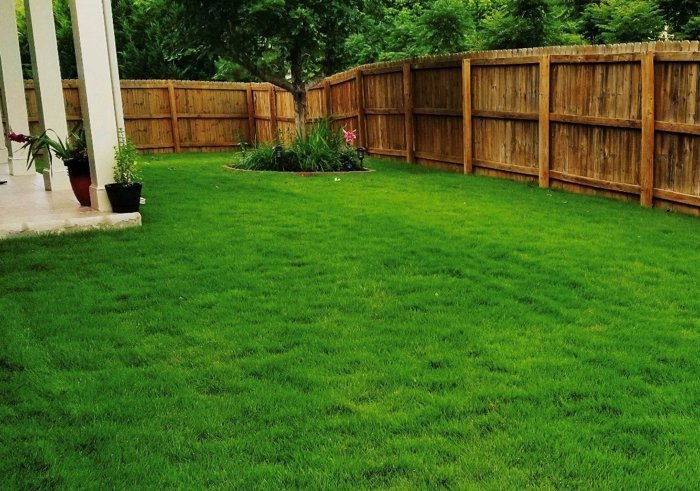 Think Green Lawn Service reviews, photos, phone number