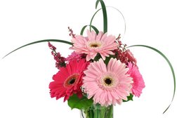 Floral Inspirations Florist & Flower Delivery